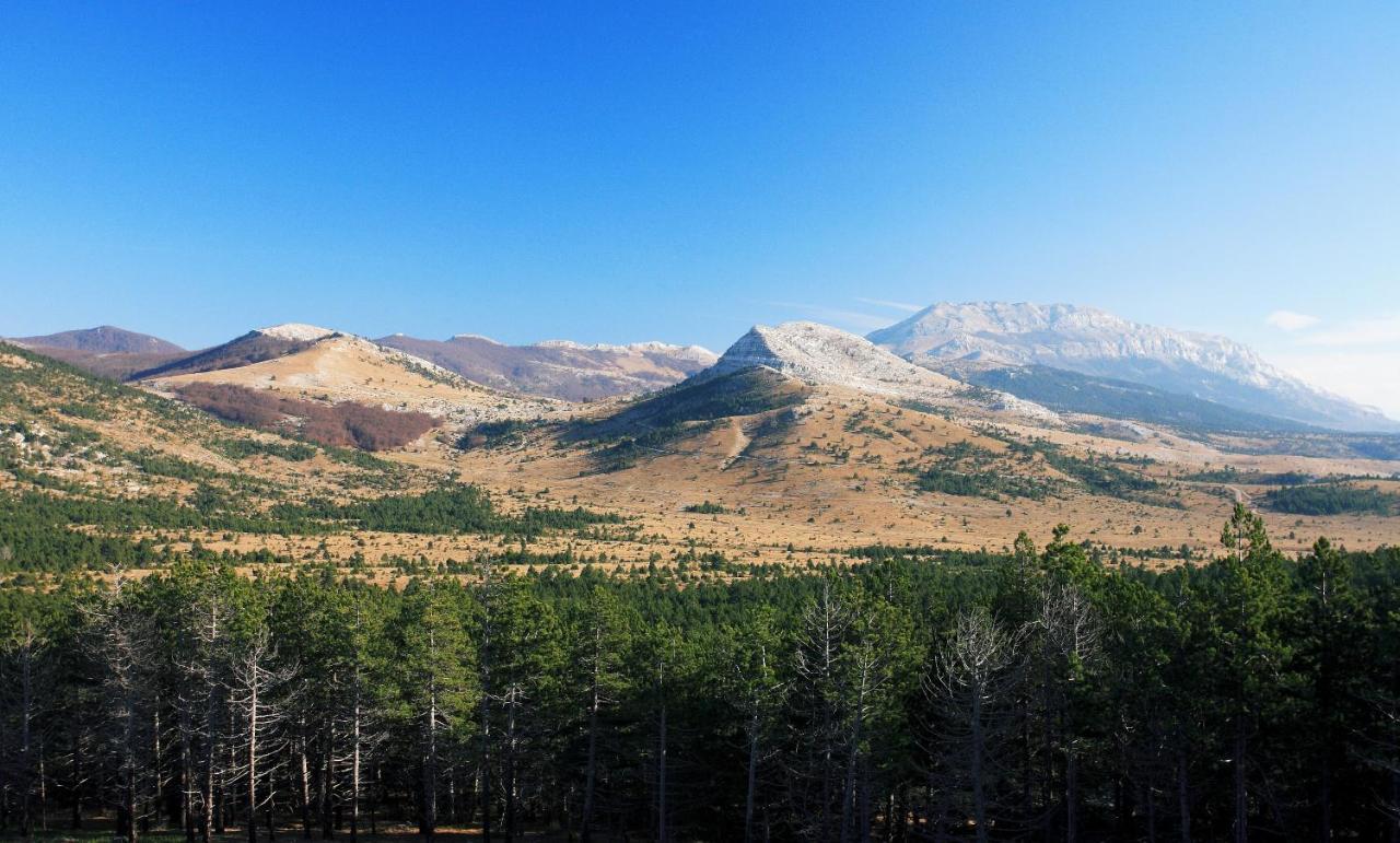 Apartman M Daire Knin Dış mekan fotoğraf